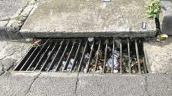 ENTUPIDO: a foto não deixa dúvida e mostra bueiro sujo