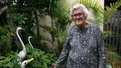 Floriza Guilherme coleciona muitas plantas e diversos enfeites por todos os cantos da casa