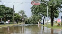 TEMPORAL: o município foi atingido por uma forte chuva acompanhada de rajadas de vento, que provocaram a queda de várias árvores e de parte da fachada de um varejão no Centro