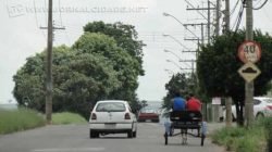 Com uma vasta oferta comercial, o bairro fica às margens da Rodovia Fausto Santomauro e conta com supermercados, farmácias, cabeleireiros e diversos outros pontos de comércio