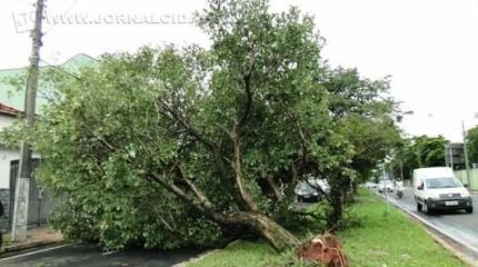 Com parte da Av. Brasil interditada, veículos utilizaram o canteiro central da via como forma de desvio nessa segunda (21)