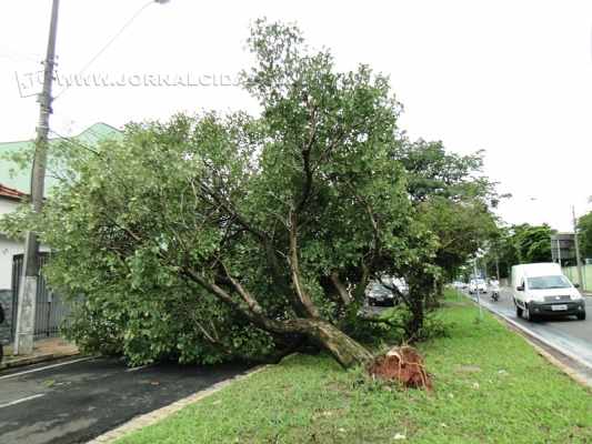 Com parte da Av. Brasil interditada, veículos utilizaram o canteiro central da via como forma de desvio nessa segunda (21)