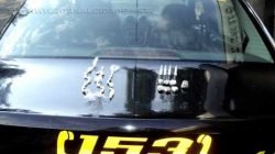 Drogas foram apreendidas pela equipe da GCM