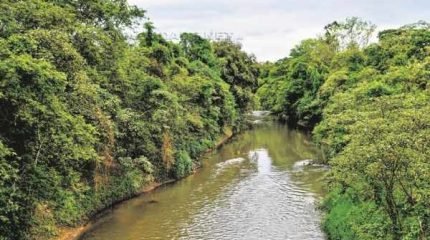 O Rio Corumbataí é responsável pelo abastecimento de 60% da cidade de Rio Claro