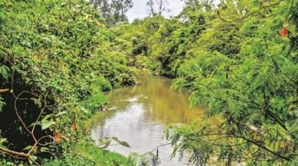 Rio Corumbataí abastece 60% do município de Rio Claro