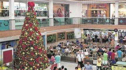 Árvore Solidária instalada na Praça de Alimentação do Shopping Center Rio Claro
