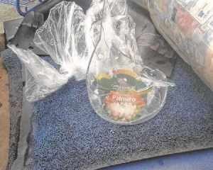 Vidros e copos quebrados jogados no lixo causam danos