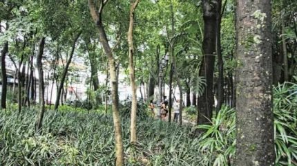 “Estamos aqui porque não faltam clientes”, diz garota de programa que fica na praça em média 20 min/hora todos os dias