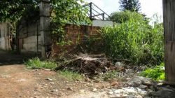 A prefeitura explica que os terrenos baldios particulares abertos que apresentam mato e sujeira são limpos e a conta é enviada para seus proprietários