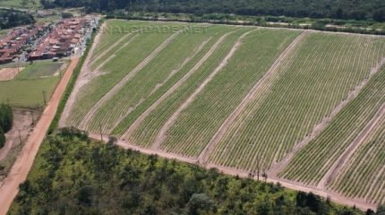 O terreno foi comprado pela municipalidade pelo valor total de R$ 438.900,00