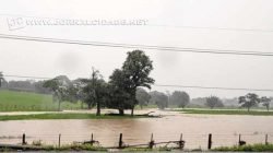 Vista do Rio Corumbataí, que está três metros acima do nível normal por causa das chuvas