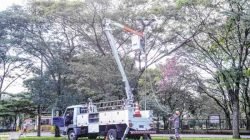 Mérito ainda será julgado, enquanto isso não acontece a prefeitura não está obrigada a cobrar a “taxa” com códigos distintos