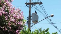 Para não haver eventual comprometimento na manutenção dos serviços, Consab prorrogou contrato por mais um mês