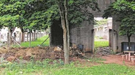Ao redor das ruínas do que era para ser um auditório na Hamilton Prado, há abandono e muito lixo