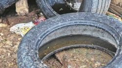 Lei prevê multa para quem for flagrado com criadouros de dengue em Rio Claro. Na foto, pneu com água parada (Foto: Claudio Fachel/ Palácio Piratini)
