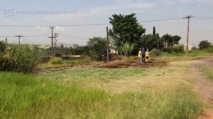 Trecho da Rua Marginal, no Jardim Santo Antônio, está sendo limpo pela própria população. Matagal tem que ser cortado à mão e moradores pagaram serviço com dinheiro do próprio bolso