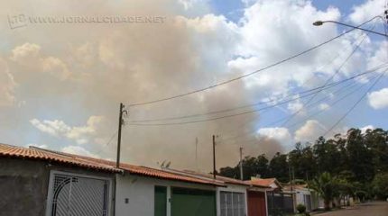 Mais de 5h de trabalho para controlar incêndio na Feena nessa sexta (22)