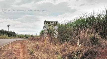 Na foto, registro do leitor na estrada de Corumbataí