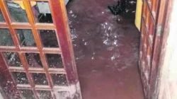 Duas casas ficaram alagadas com o temporal dessa segunda (16)