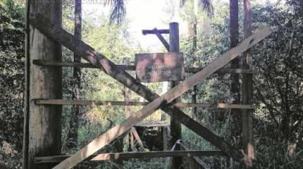 Leitora registrou a situação da passarela que fica em frente à Capela no antigo Horto Florestal