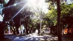 O local escolhido por Mariana Vassoler para tirar a fotografia vencedora foi a Avenida da Saudade