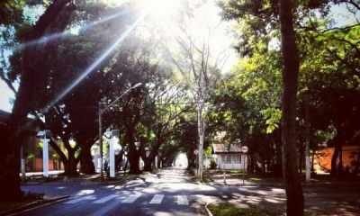 O local escolhido por Mariana Vassoler para tirar a fotografia vencedora foi a Avenida da Saudade