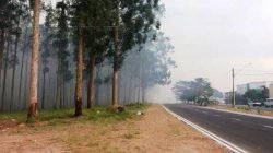 Fumaça de incêndio no antigo Horto se espalha pelo São Miguel