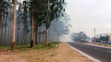 Fumaça de incêndio no antigo Horto se espalha pelo São Miguel