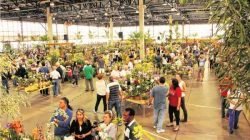 A entrada é gratuita e a exposição segue no sábado (25), das 8 às 22 horas, e no domingo (26), das 8 às 17 horas.