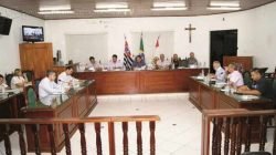 Na foto de arquivo, o ex-presidente da Câmara Municipal, José Luiz Vieira (PMDB), durante sessão, a qual presidia no ano de 2014