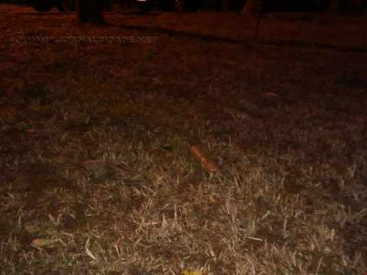 Uma das bananas de dinamite deixada pelos criminosos no NAM