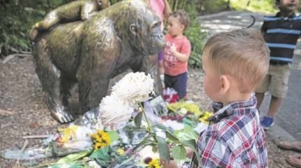 Assunto levantou discussões e dividiu muitas opiniões sobre a atitude tomada