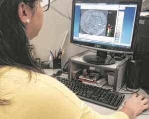 Dados meteorológicos podem ser acessados diretamente por meio de portais oficiais na internet