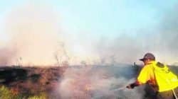 Corpo de Bombeiros e Defesa Civil de Rio Claro combateram incêndio em uma área extensa no Distrito Industrial. Chamas destruíram uma área total de 10 mil m²