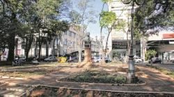 A população já pode verificar que plantas na praça central foram retiradas para promover mais visibilidade