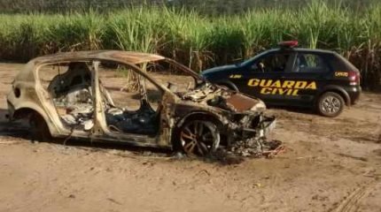 Equipe da GCM flagrou restos de veículo em estrada no antigo Horto Florestal