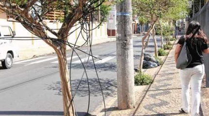 Na Avenida 5, ao lado da Igreja Matriz São João Batista, cabos de telefonia estão presos à árvore