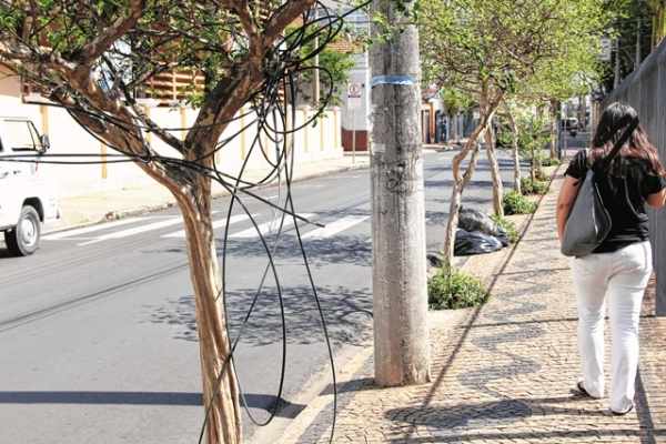 Na Avenida 5, ao lado da Igreja Matriz São João Batista, cabos de telefonia estão presos à árvore