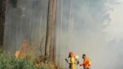 Fumaça gerada pelo incêndio pode ser avistada de longe
