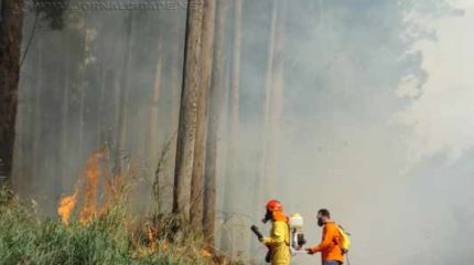 Fumaça gerada pelo incêndio pode ser avistada de longe