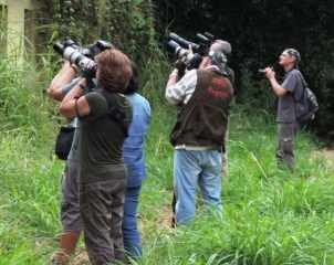 Especialistas em aves observando espécies na Floresta Estadual Edmundo Navarro de Andrade