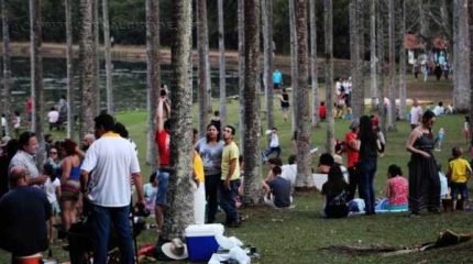 As atividades culturais acontecem no espaço das palmeiras, às margens do lago, na Floresta Estadual (foto - Yasmin Bacchi)