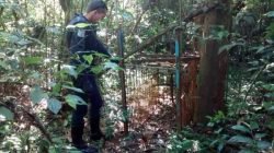 Armadilha de caça pesava cerca de 100 quilos, segundo Guarda Civil Municipal