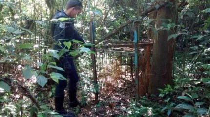 Armadilha de caça pesava cerca de 100 quilos, segundo Guarda Civil Municipal