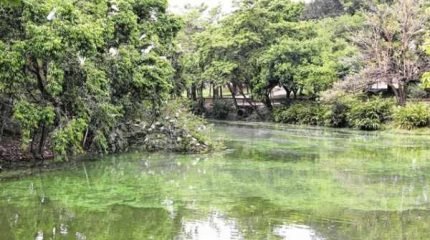 O tom esverdeado de mancha causa questionamentos de frequentadores