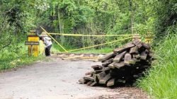 Ponte está interditada desde julho. Apenas ciclistas e pedestres estão autorizados a utilizar acesso