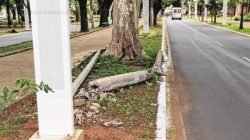 Acidente envolvendo dois carros resultou em queda de postes na tradicional Avenida da Saudade