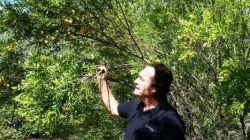 O médico Sergio Sartori fala sobre os benefícios das frutas que são cultivadas na Estância das Frutas, localizada em Rio Claro