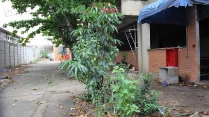 Vizinhança reclama que moradores de rua causam muitas ‘badernas’ e usam drogas no antigo prédio no Bairro do Estádio