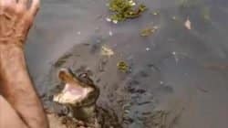 Gestora da Floresta Estadual Edmundo Navarro de Andrade orienta sobre a presença de jacarés no local 